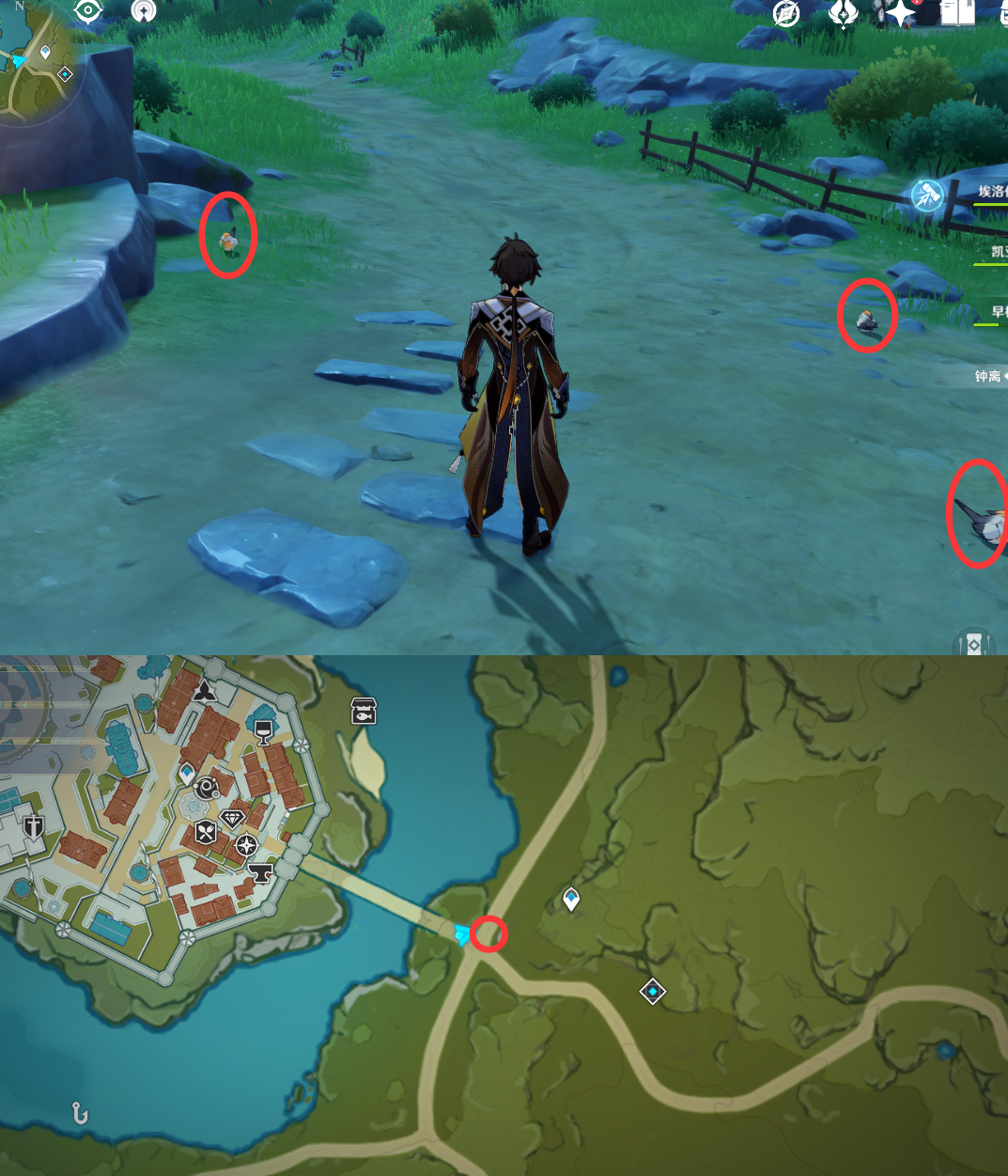 《原神》最全面的四方八方之网捕捉小动物图鉴位置大全