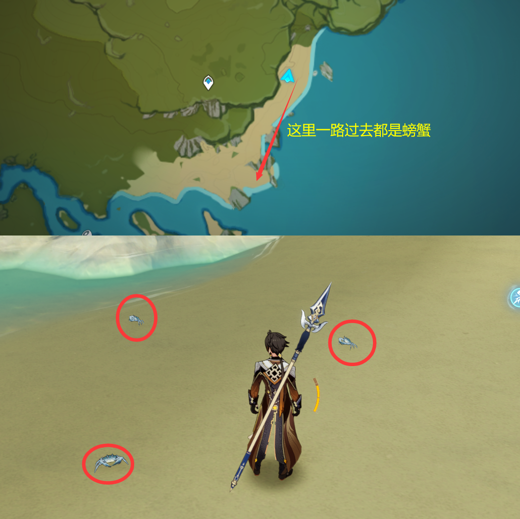 《原神》最全面的四方八方之网捕捉小动物图鉴位置大全