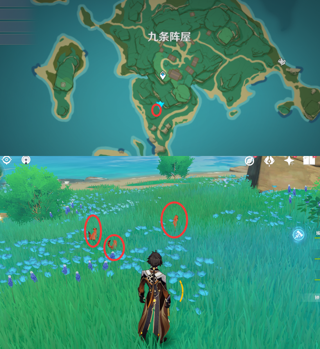 《原神》最全面的四方八方之网捕捉小动物图鉴位置大全