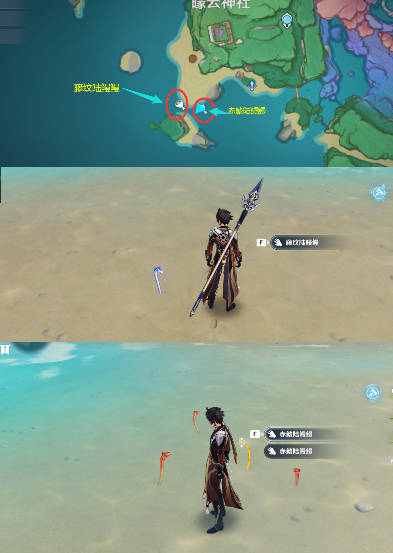 《原神》最全面的四方八方之网捕捉小动物图鉴位置大全