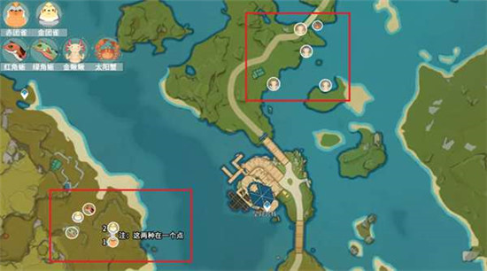 《原神》动物在哪捕捉？动物捕捉点位置总汇