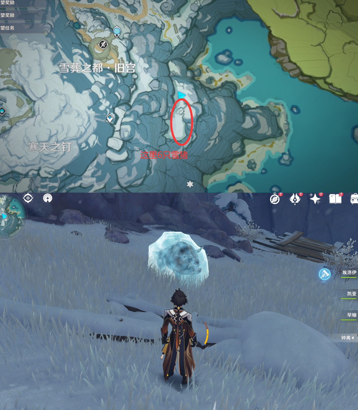 《原神》最全面的四方八方之网捕捉小动物图鉴位置大全