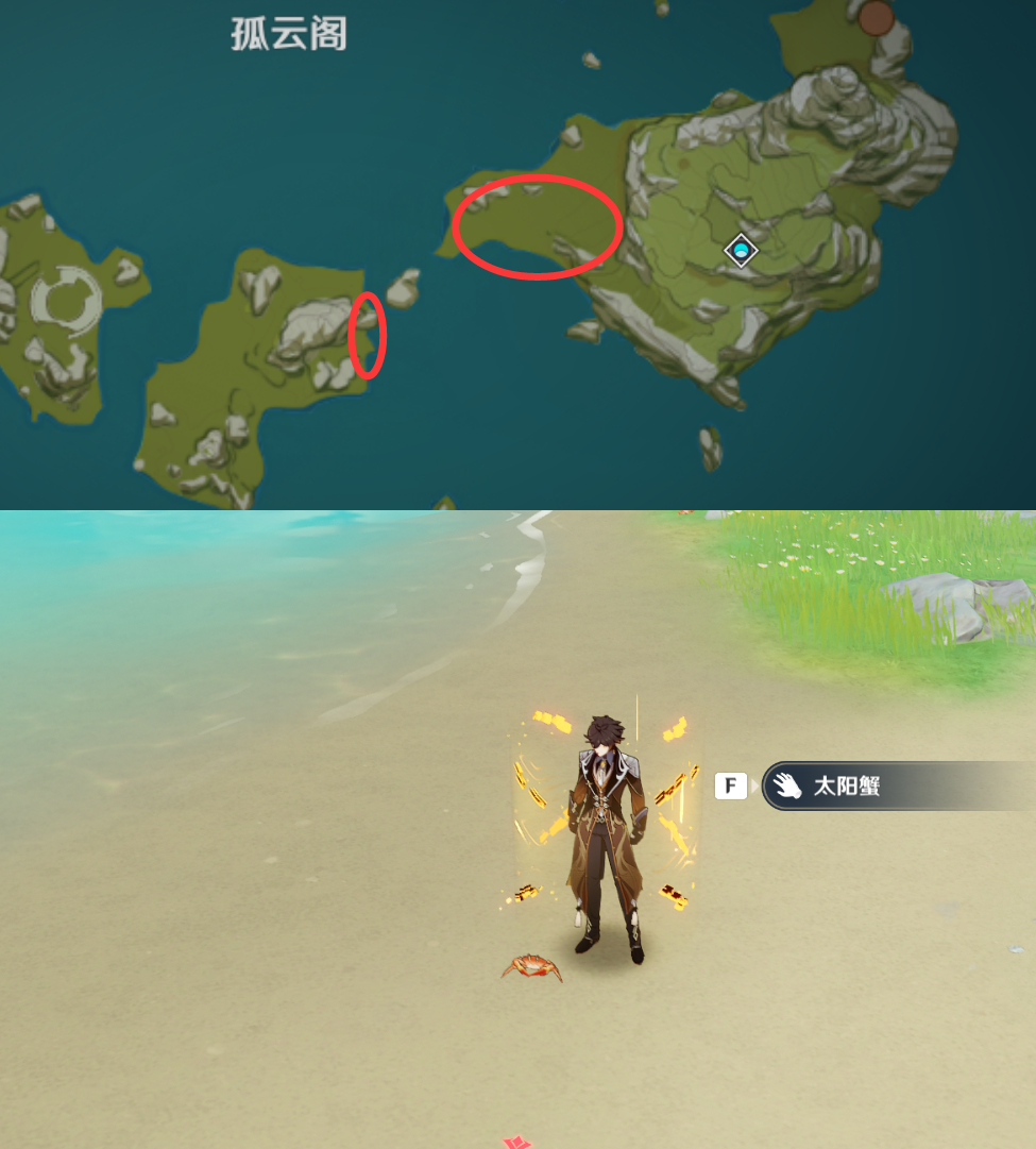 《原神》最全面的四方八方之网捕捉小动物图鉴位置大全