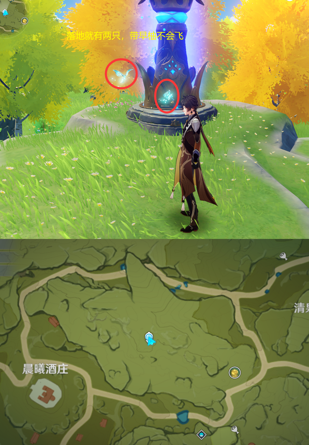 《原神》最全面的四方八方之网捕捉小动物图鉴位置大全