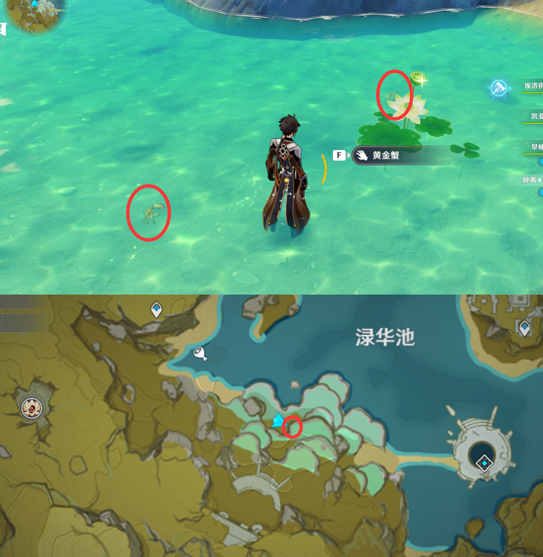 《原神》最全面的四方八方之网捕捉小动物图鉴位置大全