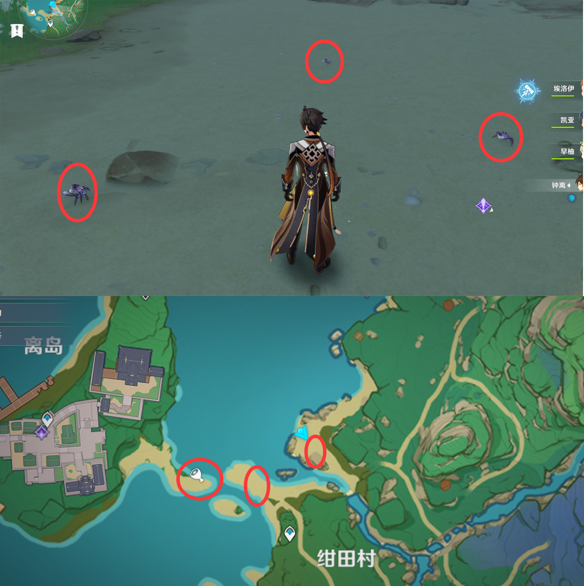 《原神》最全面的四方八方之网捕捉小动物图鉴位置大全