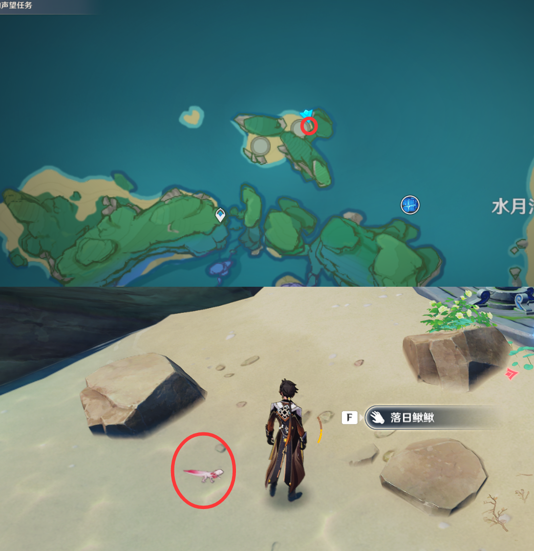 《原神》最全面的四方八方之网捕捉小动物图鉴位置大全