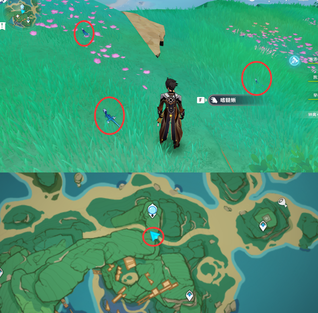 《原神》最全面的四方八方之网捕捉小动物图鉴位置大全