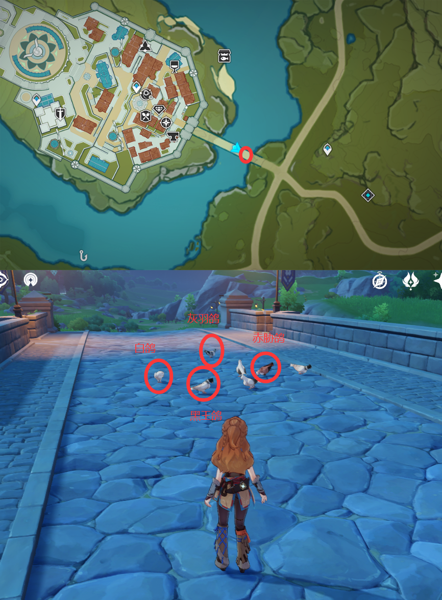 《原神》最全面的四方八方之网捕捉小动物图鉴位置大全