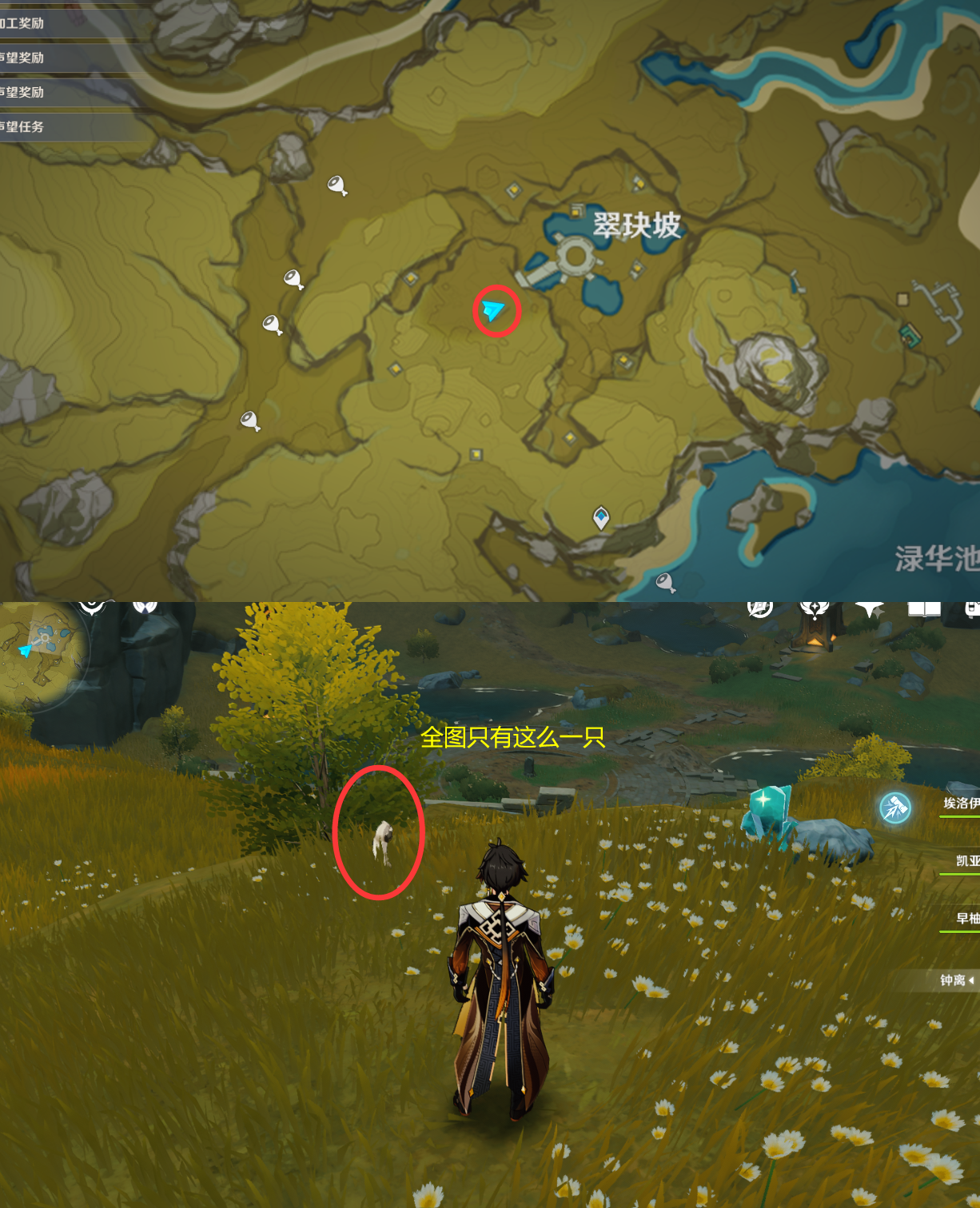 《原神》最全面的四方八方之网捕捉小动物图鉴位置大全