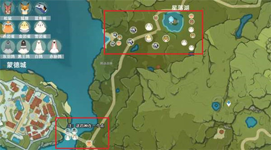 《原神》动物在哪捕捉？动物捕捉点位置总汇