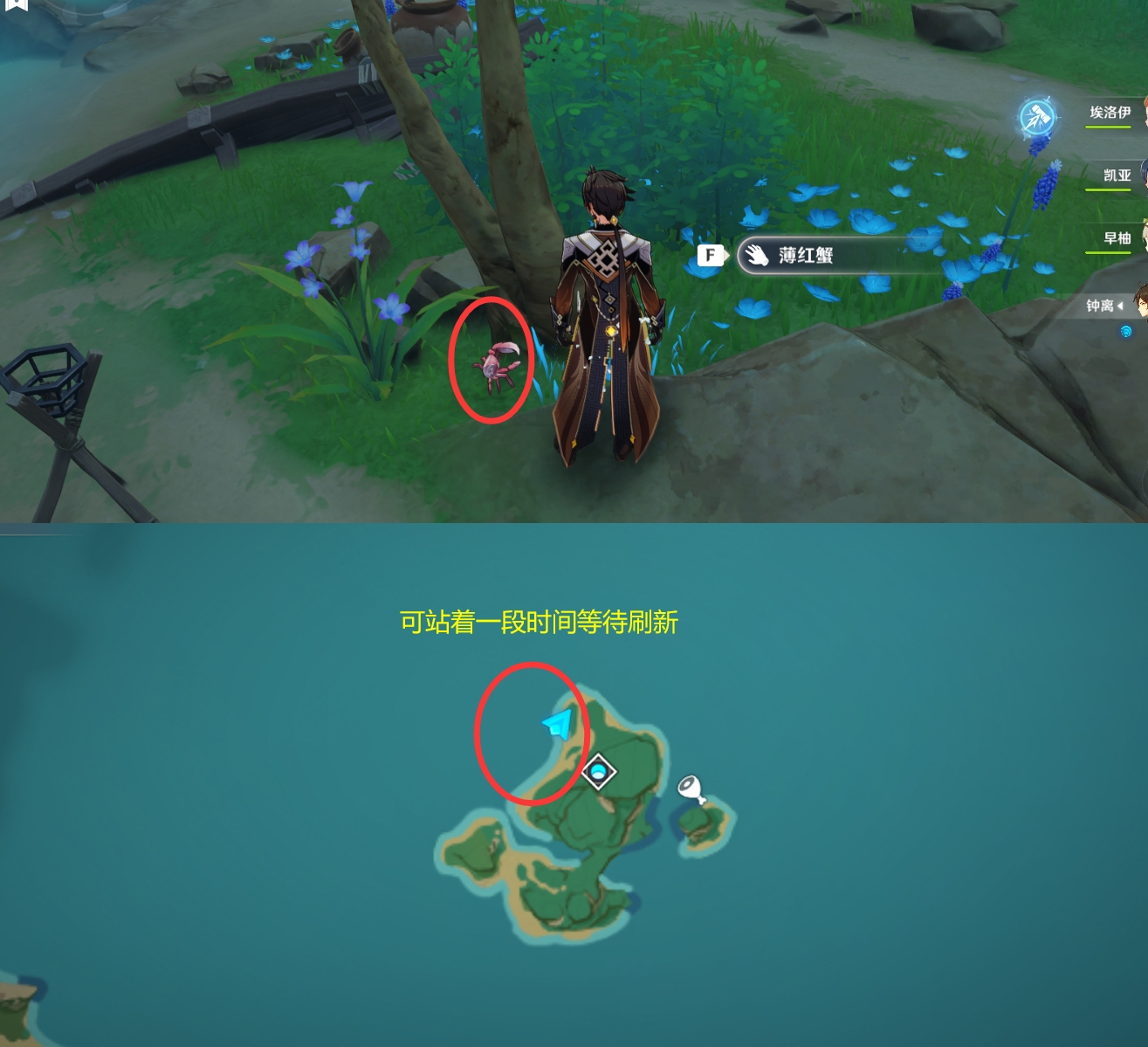 《原神》最全面的四方八方之网捕捉小动物图鉴位置大全