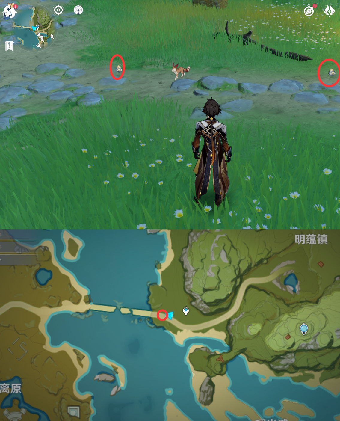 《原神》最全面的四方八方之网捕捉小动物图鉴位置大全