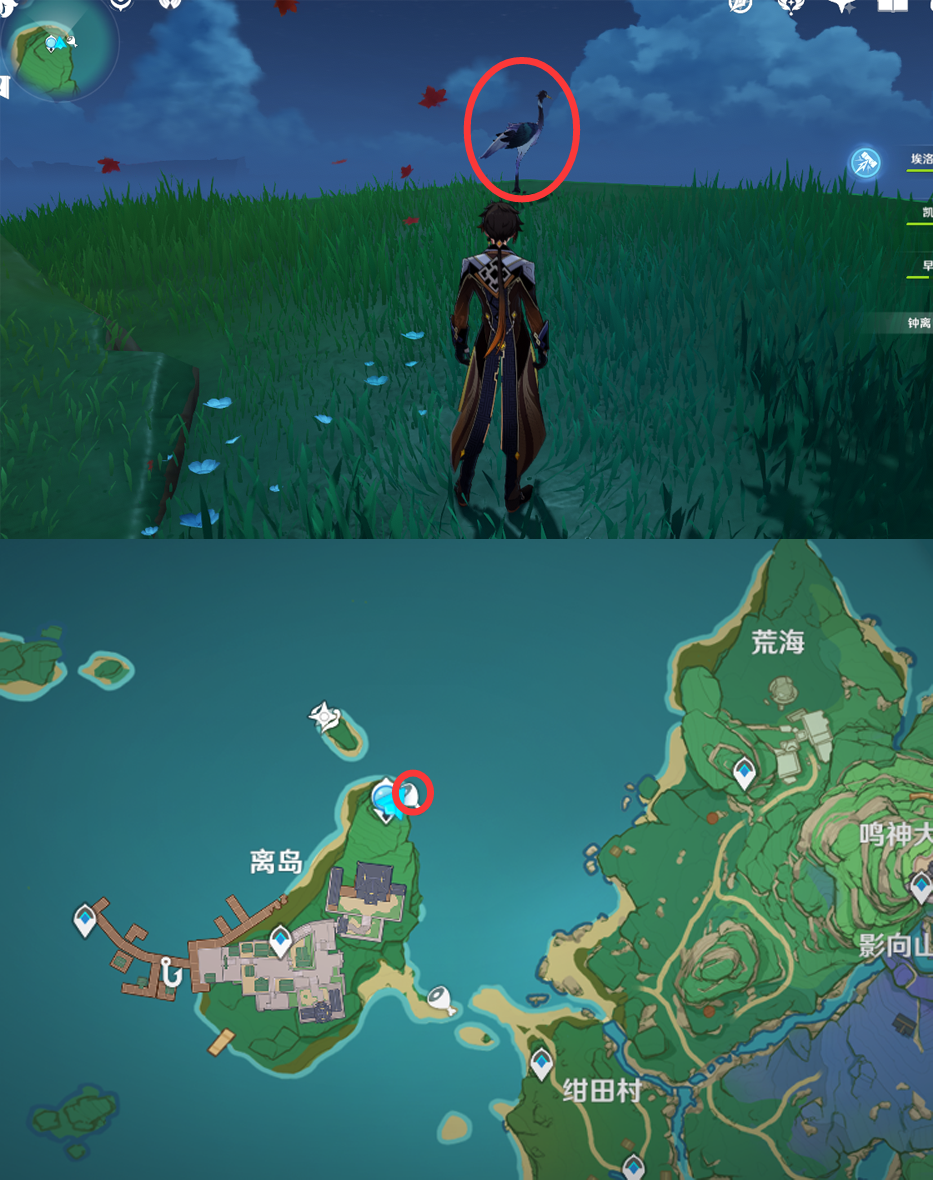 《原神》最全面的四方八方之网捕捉小动物图鉴位置大全