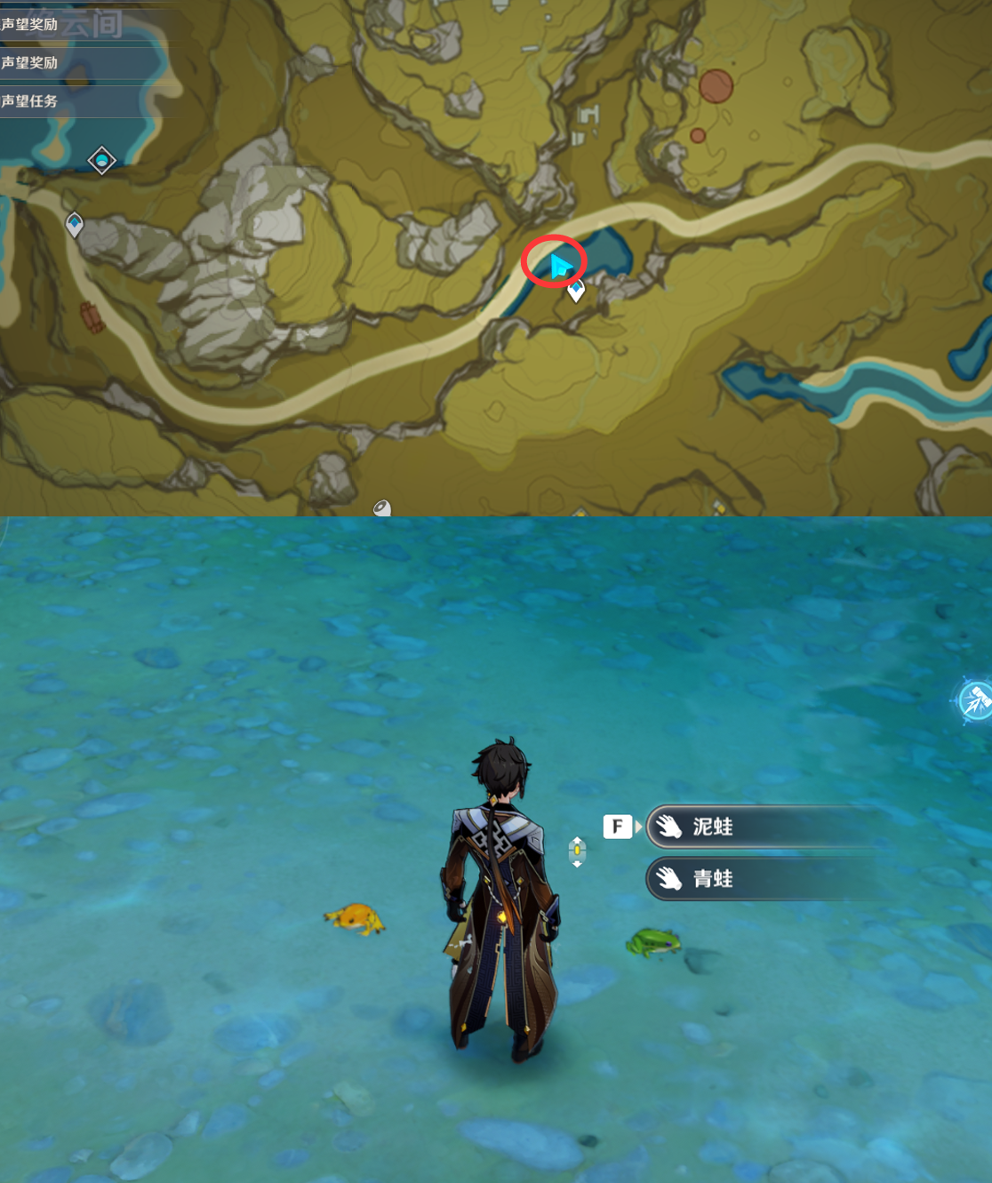 《原神》最全面的四方八方之网捕捉小动物图鉴位置大全