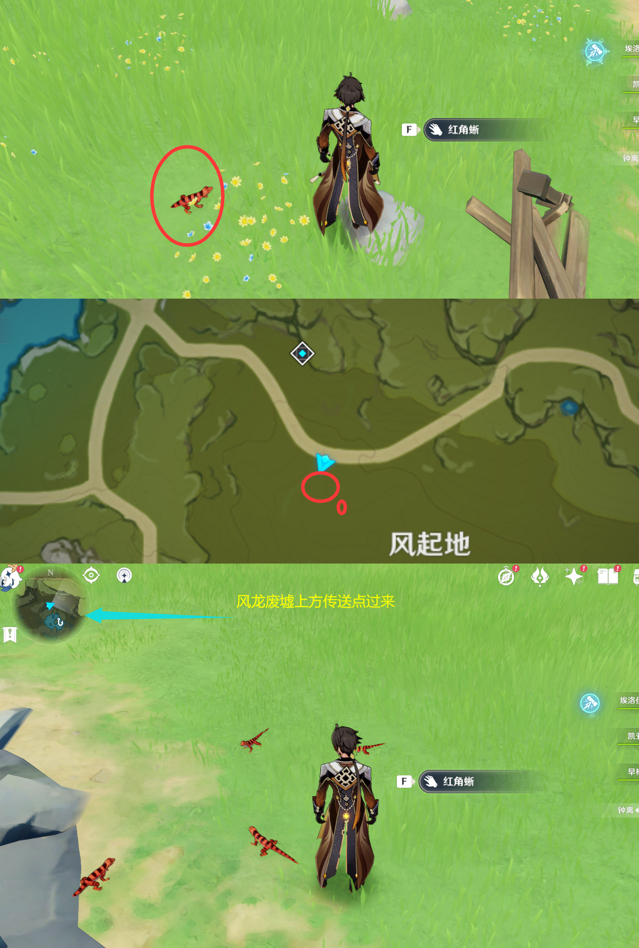 《原神》最全面的四方八方之网捕捉小动物图鉴位置大全