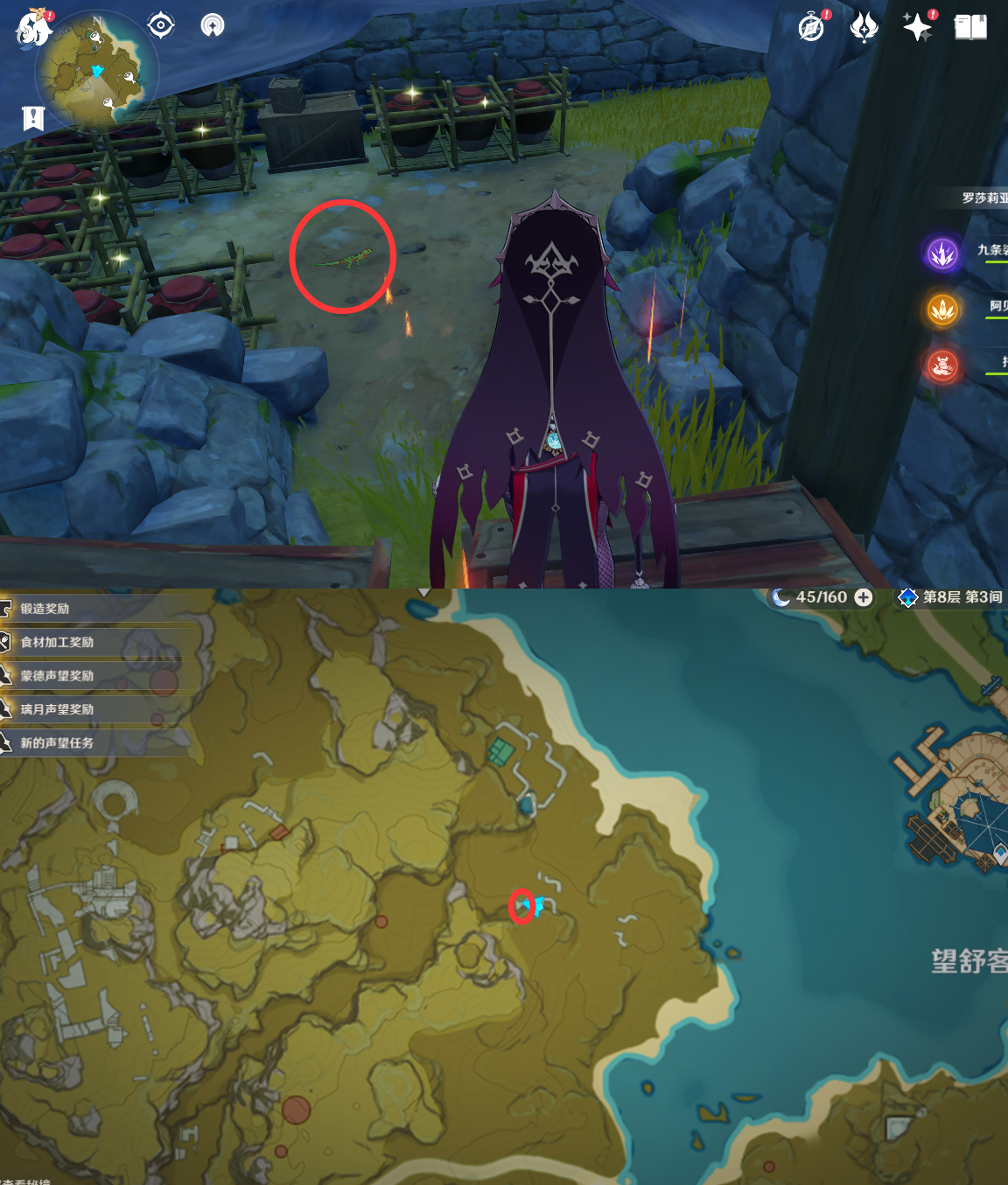 《原神》最全面的四方八方之网捕捉小动物图鉴位置大全