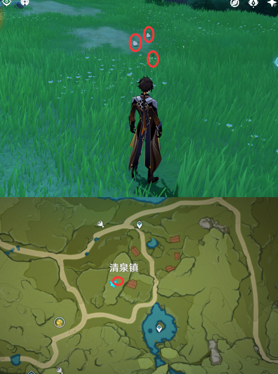 《原神》最全面的四方八方之网捕捉小动物图鉴位置大全