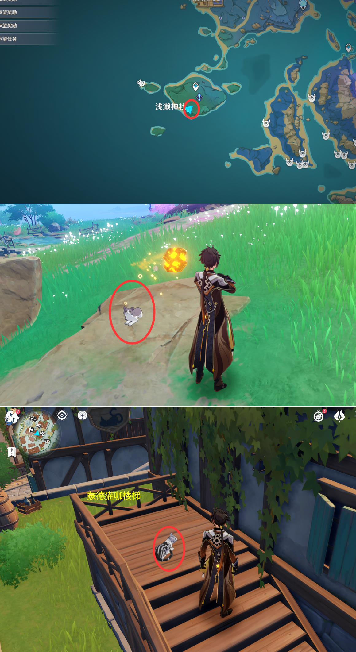 《原神》最全面的四方八方之网捕捉小动物图鉴位置大全