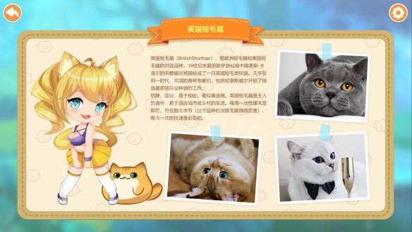 《猫咪小姐2》游戏全猫娘一览