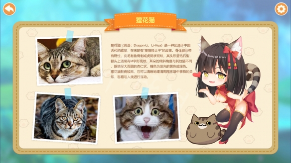 《猫咪小姐2》游戏全猫娘一览