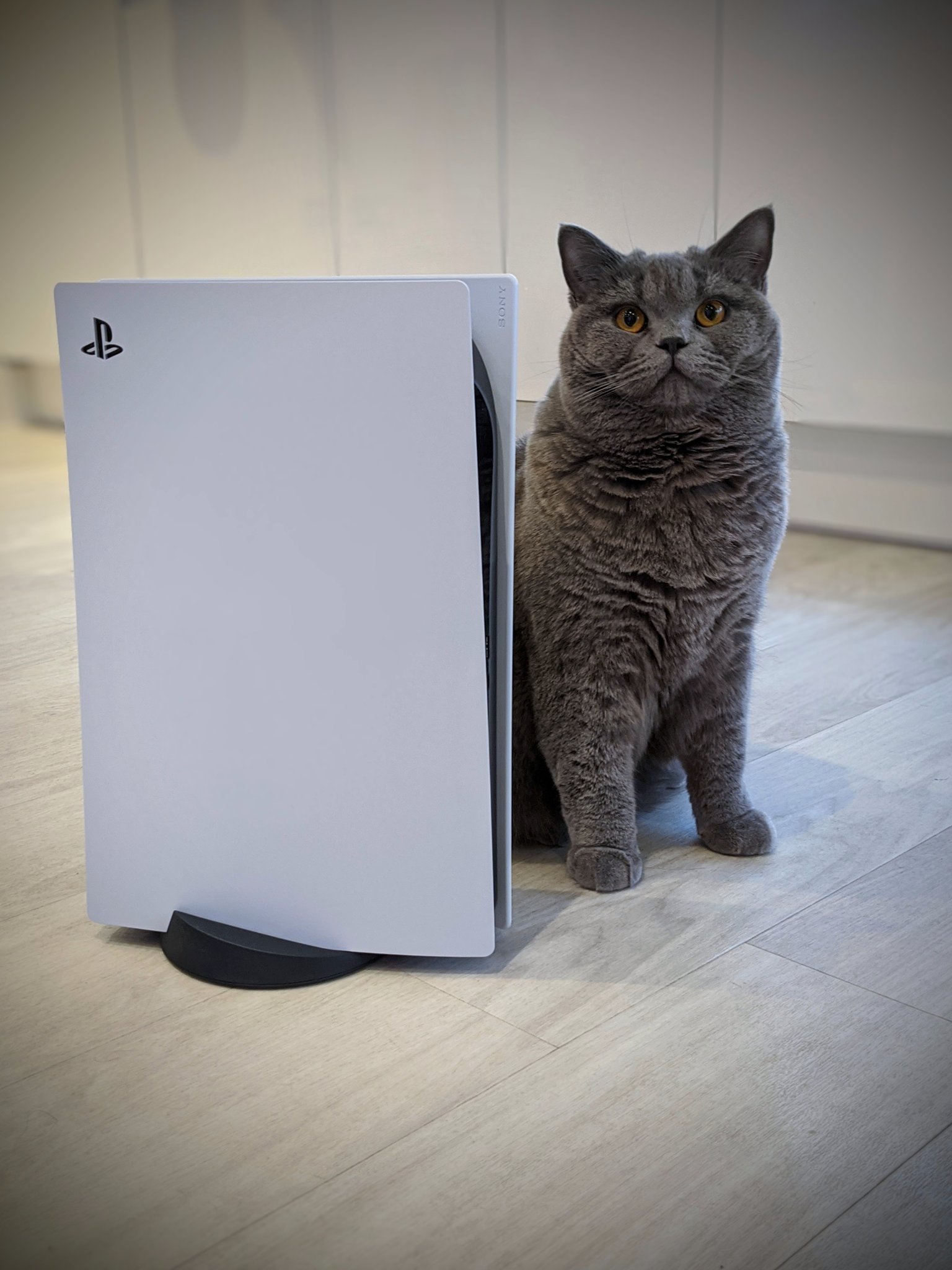 分析称PS5今年销量1800万 Xbox Series 900万