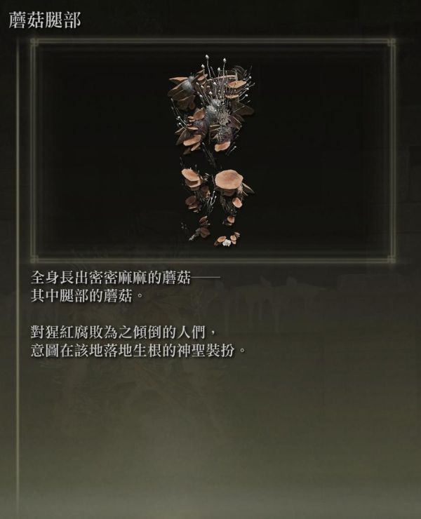 《艾尔登法环》各防具特殊效果说明