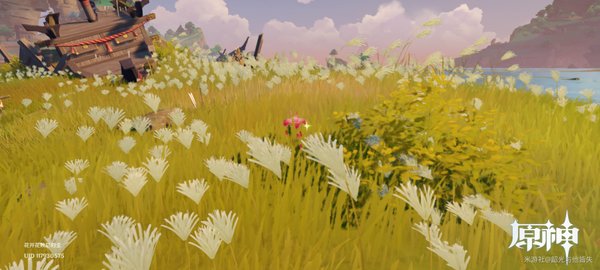 原神堇庭华彩活动第一天流程攻略