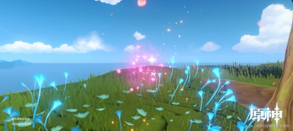 原神堇庭华彩活动第一天流程攻略