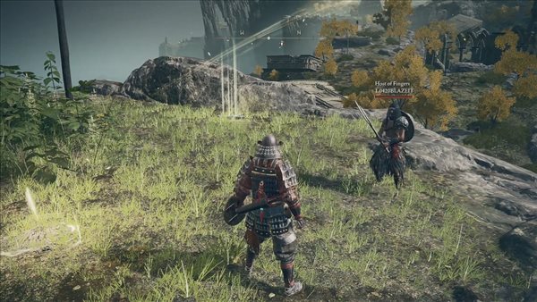 《老头环》无缝联机MOD 玩家在死了之后仍然能联机！