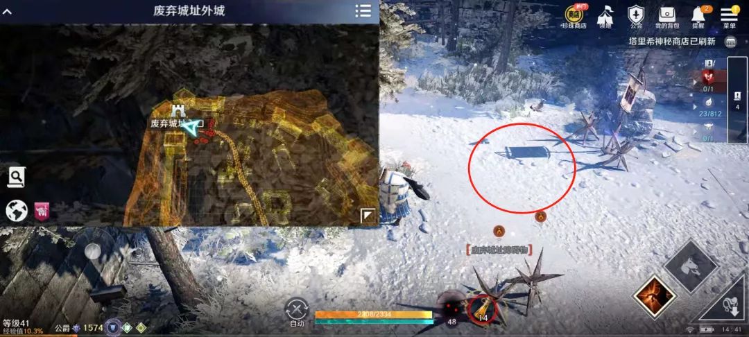 《黑色沙漠手游》宠物收集攻略