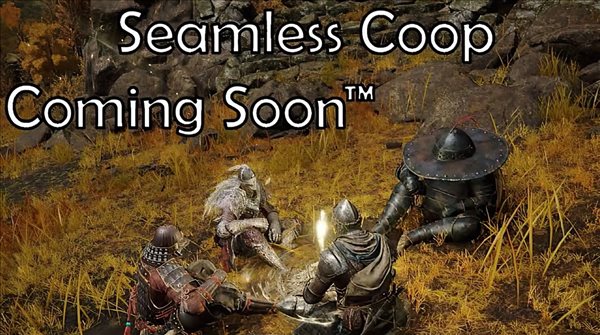 《艾尔登法环》无缝联机MOD5月27日开放测！