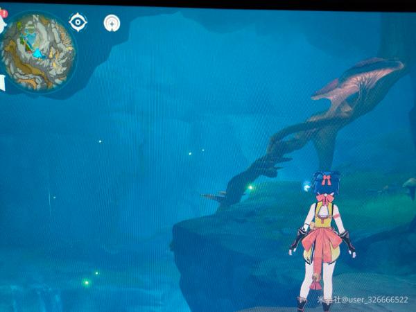 《原神》2.7苦炮鲀钓鱼点位置