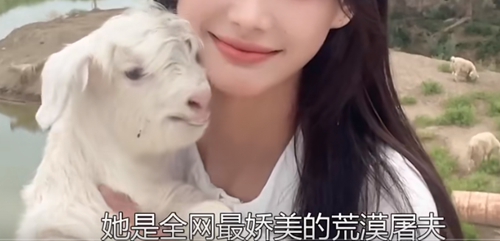 八分钟一只羊是什么意思？八分钟一只羊梗出处介绍