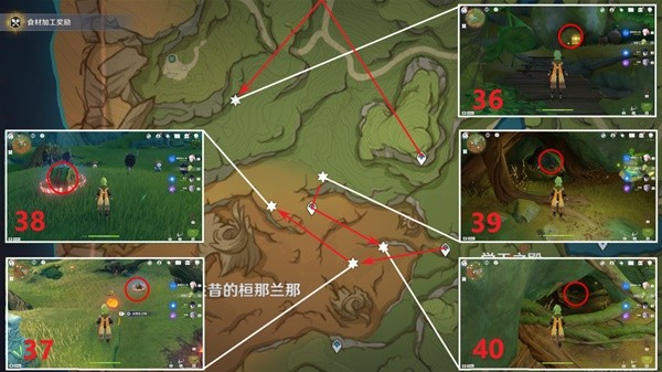 《原神》3.0须弥雨林区域奇馈宝箱收集指南