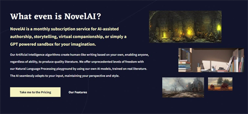 novelai软件使用方法教程