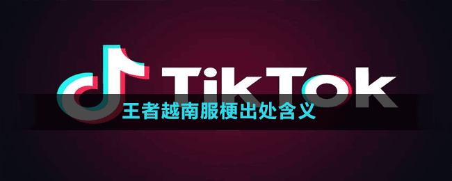 王者越南服是什么梗？王者越南服出处及含义