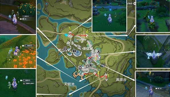 原神帕蒂莎兰快速采集路线推荐