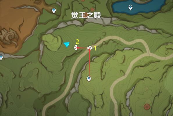 原神帕蒂莎兰快速采集路线推荐