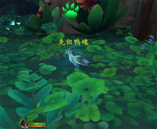 魔兽世界10.0先祖鸭魂获得方法攻略