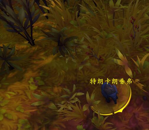 魔兽世界10.0特朗卡朗普弗在哪里？特朗卡朗普弗位置