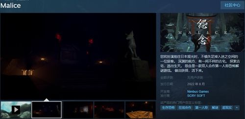 《怨念malice》可以同屏玩吗？