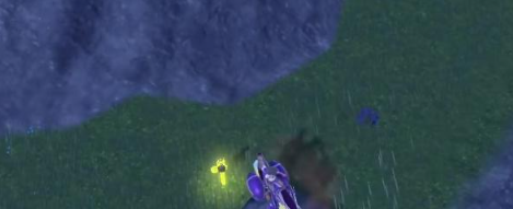 宝可梦朱紫古鼎鹿八根木桩位置整理