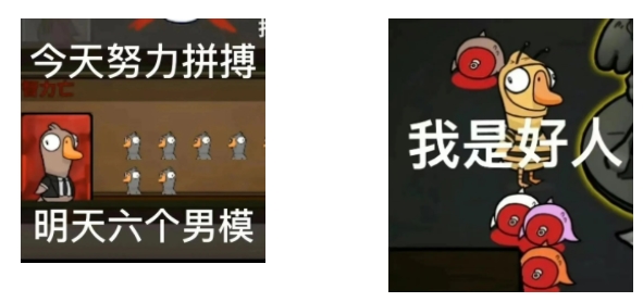 鹅鸭杀2023最新表情包大全