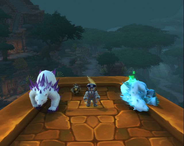 魔兽世界紫色雪暴熊在哪抓？wow紫色雪暴熊怎么获得