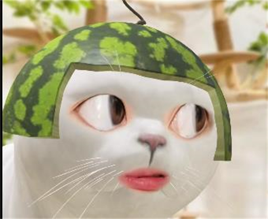 你想帮鼠老板偷走美味猫堡吗什么意思？