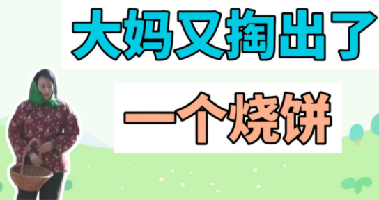 大妈掏出烧饼什么梗