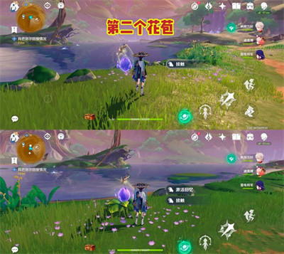 《原神》永恒绿洲的记忆解密攻略介绍