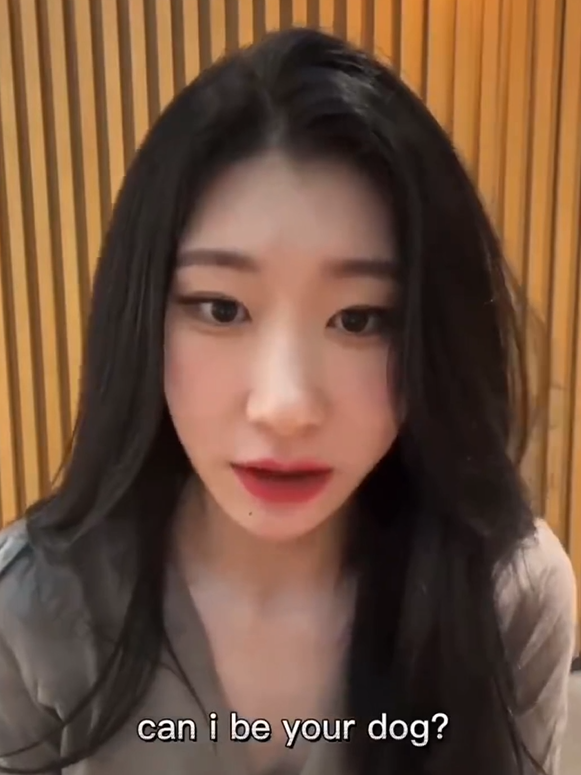 can i be your dog梗出处含义介绍