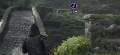 《霍格沃兹之遗》魔法植物位置攻略